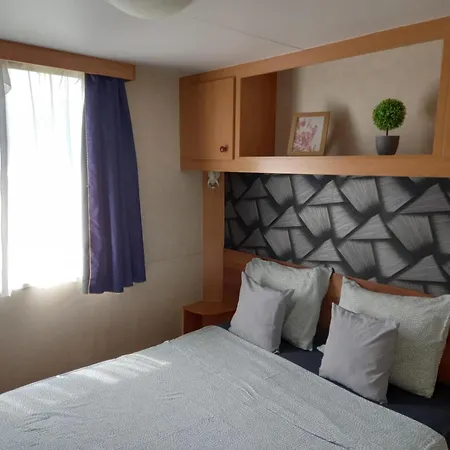 Sara Vendeghaz 2 زينتيس