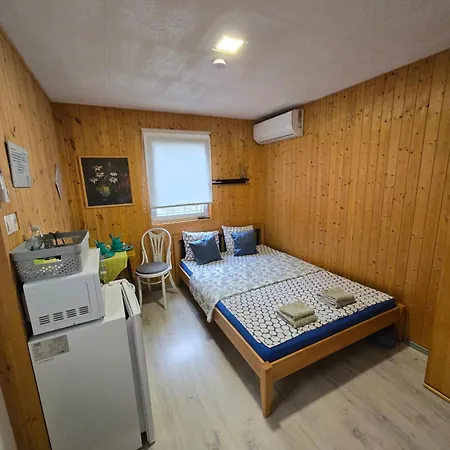 Sara Vendeghaz 2 * زينتيس