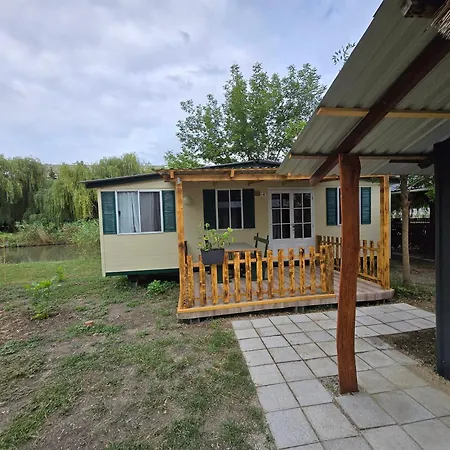 Sara Vendeghaz 2 زينتيس