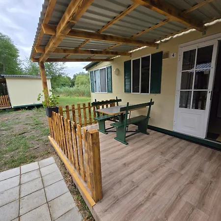 Sara Vendeghaz 2 * زينتيس